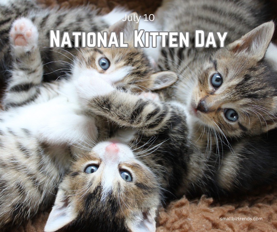 Workforce and job preparation